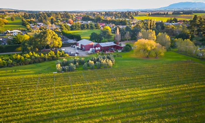 Torlesse Wines